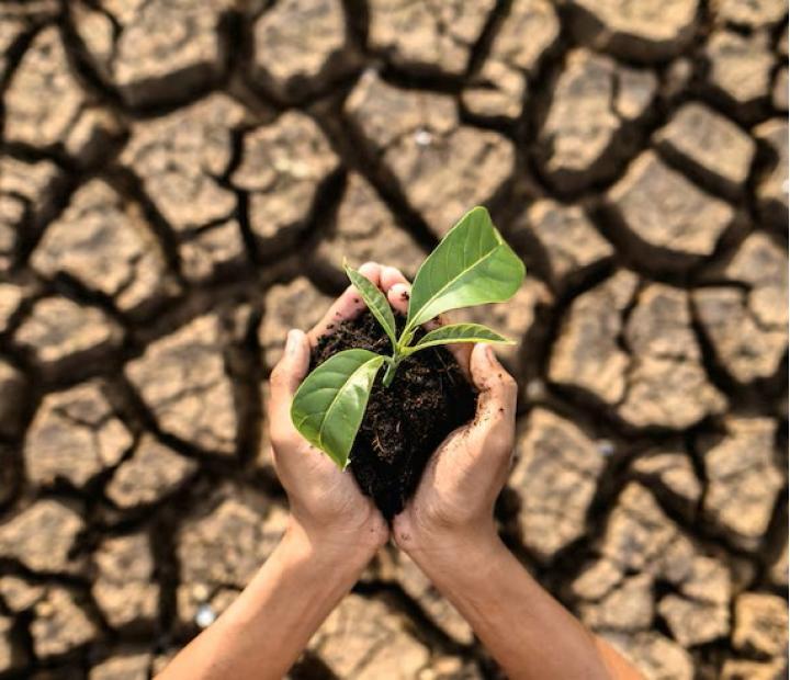 Cambio Climático y virtudes ecológicas