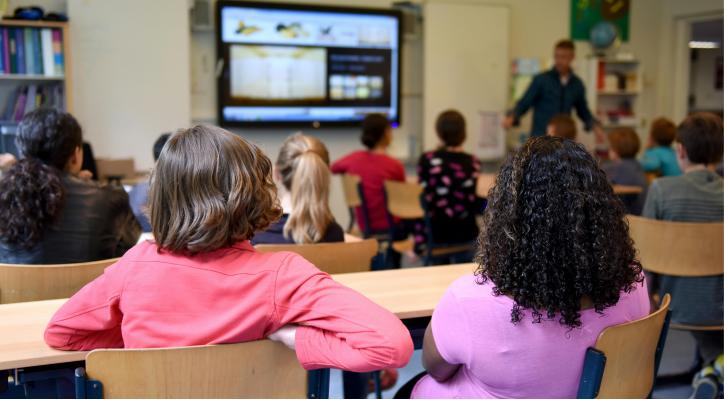 Educar en la diversidad emocional y sexual. Curso homologado online