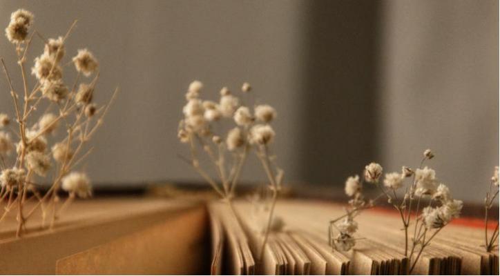 Memoria nivel básico. Martes 17 h.