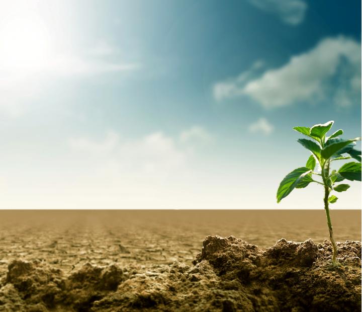 Consumo responsable y energías renovables. Programa didáctico para Primaria