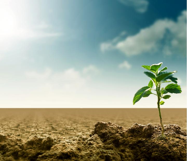 Consumo responsable, energías renovables y el mercado eléctrico en España. Programa didáctico para ESO y Bachillerato