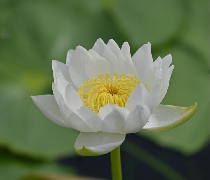 Iniciación a la fotografía