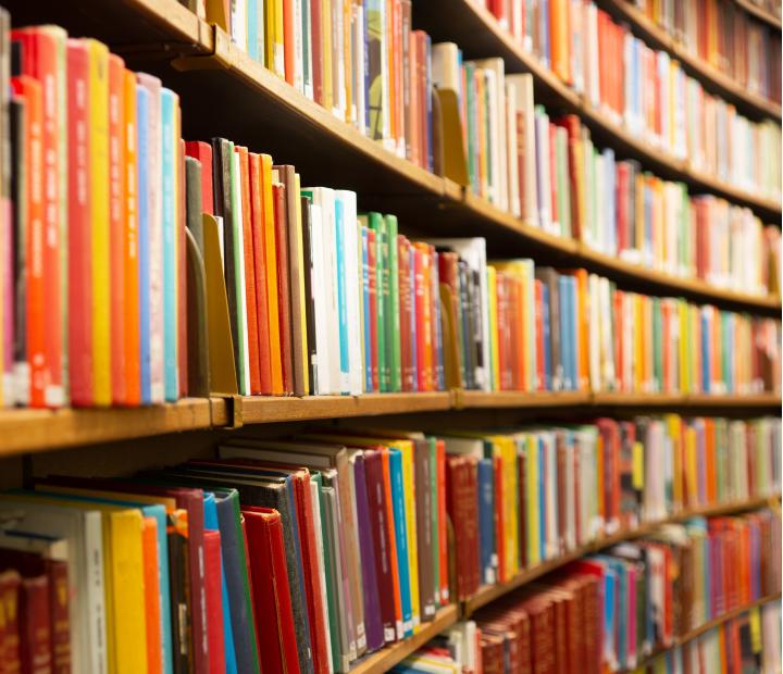 Esta semana te leo: Fuego en la garganta, Beatriz Serrano