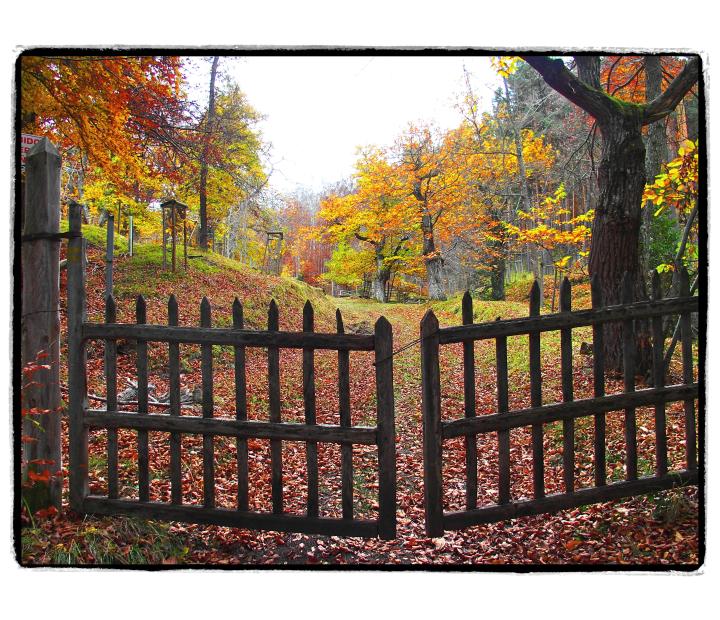 Fotocrónicas. Una manera de ver el mundo