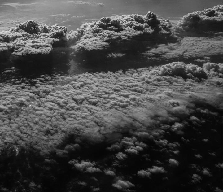 Bienvenido a casa. Paulo Pimenta - José Rosinhas Art Gallery Wall