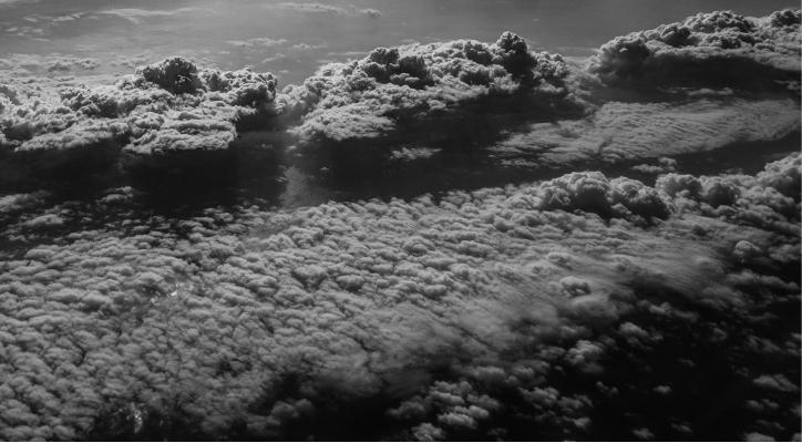 Bienvenido a casa. Paulo Pimenta - José Rosinhas Art Gallery Wall