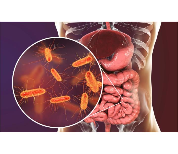 El papel de las emociones en la microbiota