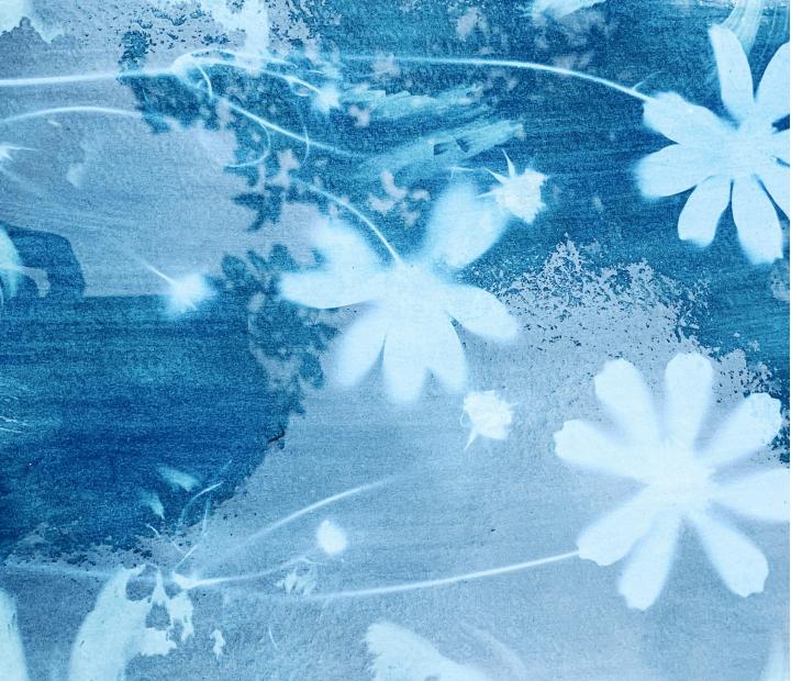 Mes de la ciencia, 2025. Fotografía sin cámara