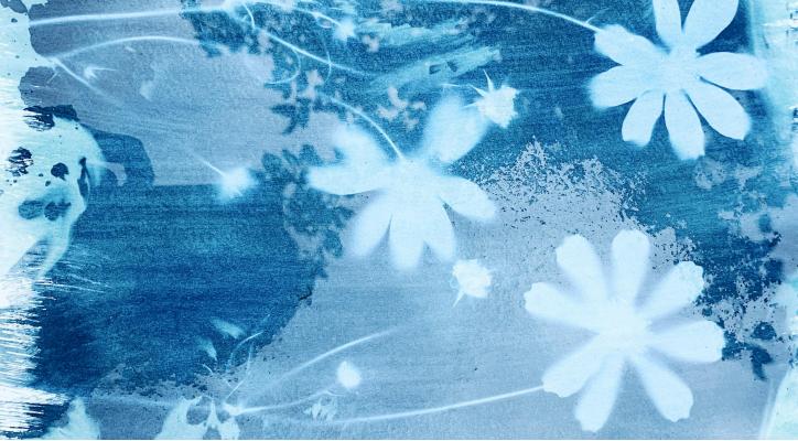 Mes de la ciencia, 2025. Fotografía sin cámara