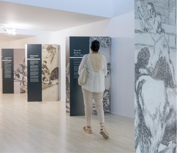 Goya, un museo en movimiento