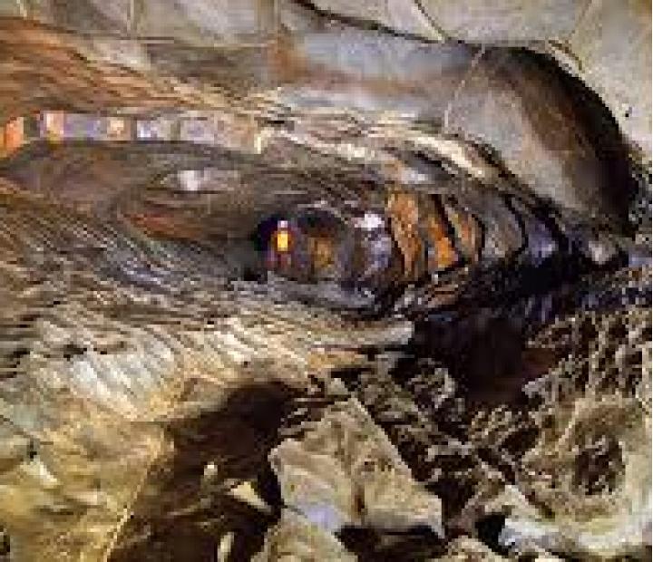 XLVII Jornadas Montaña. Zarama Espeleo: Aventura en los últimos lugares inexplorados de nuestro entorno