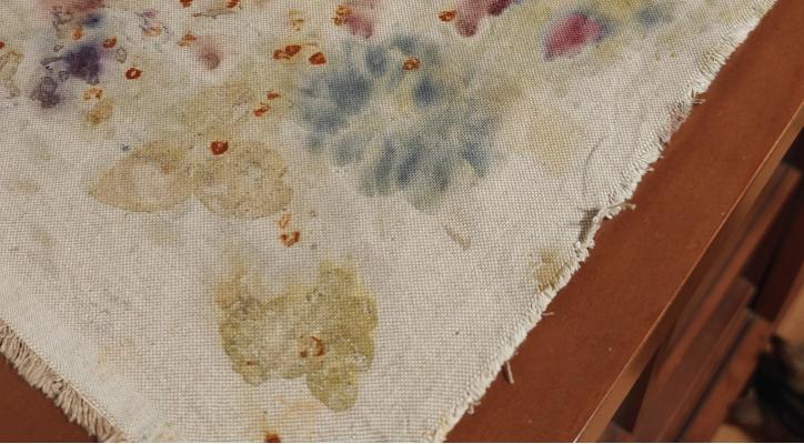 Del campo a la tela. Taller de matizados con tintes naturales