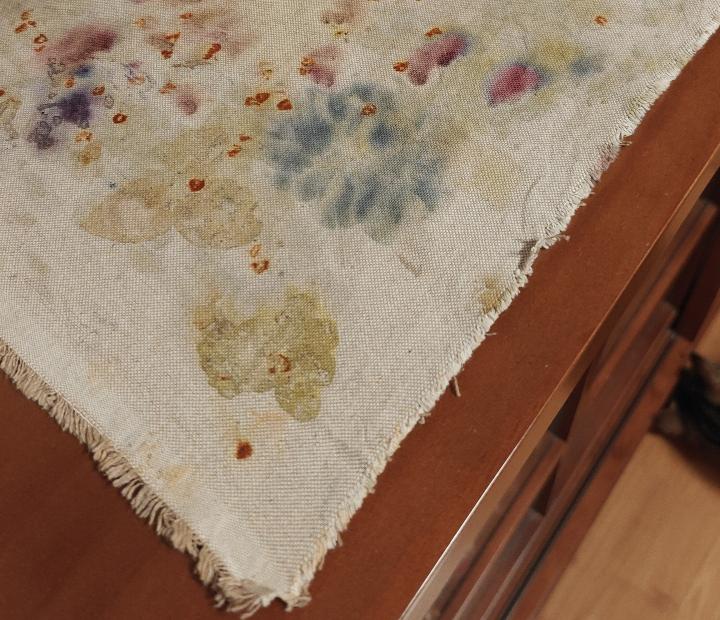 Del campo a la tela. Taller de matizados con tintes naturales