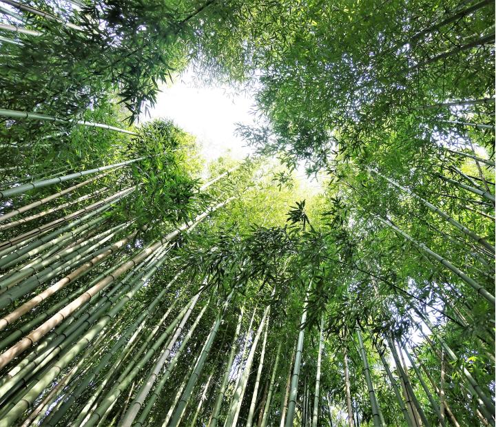 El lujo de ir despacio. Encuentra `tiempo para ti´ y resetea con armonía