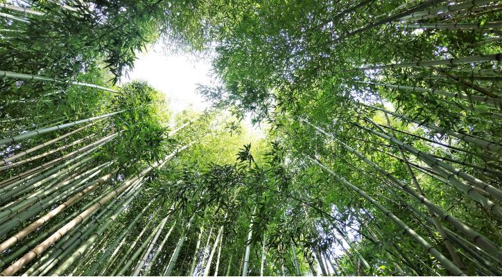 El lujo de ir despacio. Encuentra `tiempo para ti´ y resetea con armonía