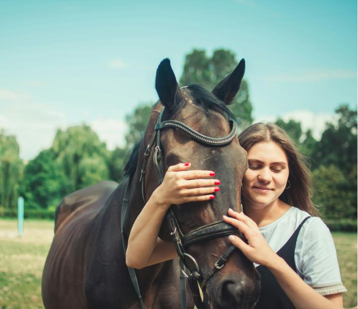 VOLUNTARIADO: Sesión de equinoterapia con personas con diversidad funcional