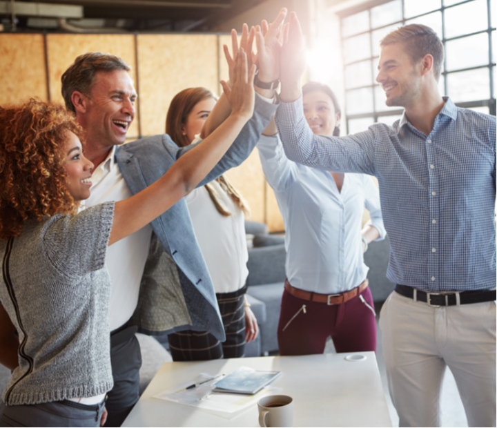 Descubre el potencial de la comunicación noviolenta en el ámbito profesional