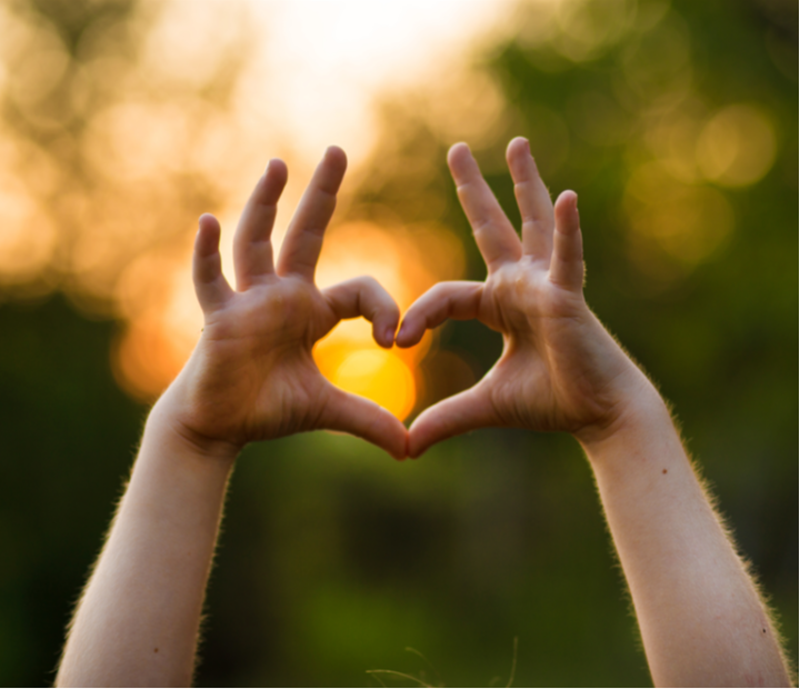 La Inteligencia Emocional. Corazón del liderazgo transformador