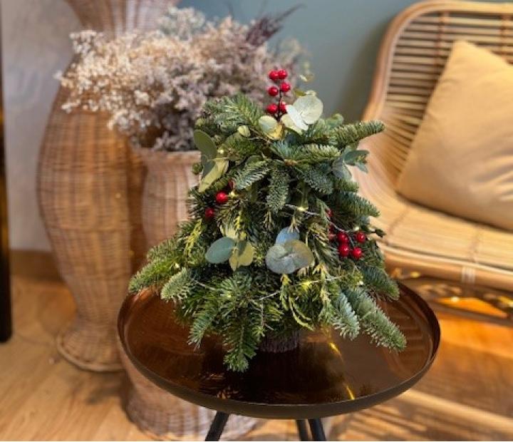 Taller arbolitos navideños naturales