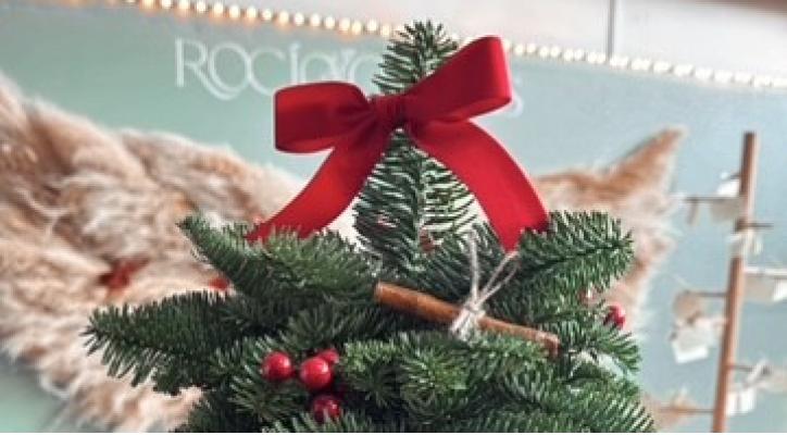 Taller arbolitos navideños naturales