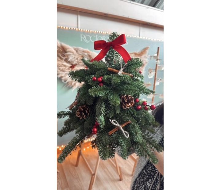 Taller arbolitos navideños naturales