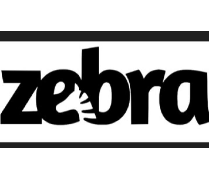 PYME BUSCA JOVEN: Desarrolla tu carrera en ZEBRA VENTURES