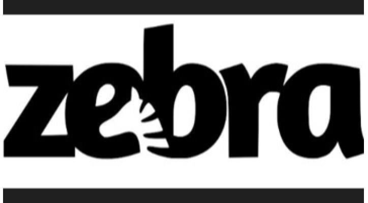 PYME BUSCA JOVEN: Desarrolla tu carrera en ZEBRA VENTURES