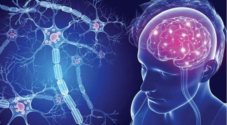 Jornadas Médicas de Esclerosis Múltiple