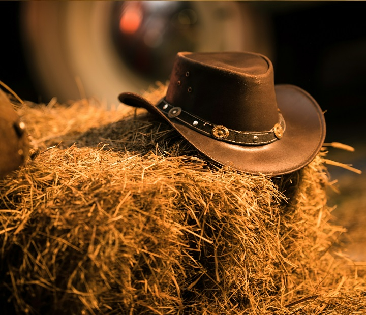 Géneros cinematográficos. El wéstern