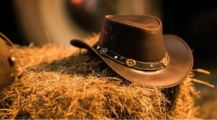 Géneros cinematográficos. El wéstern