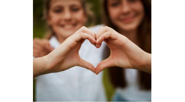 Curso Online. Coordinador del bienestar 