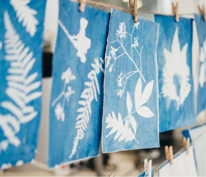 Cianotipia: la magia de azul. Sesión 12 h.