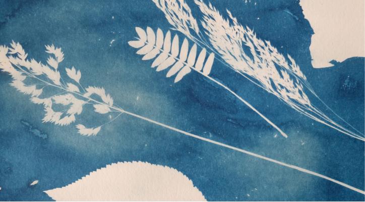 Cianotipia: la magia de azul. Turno 1