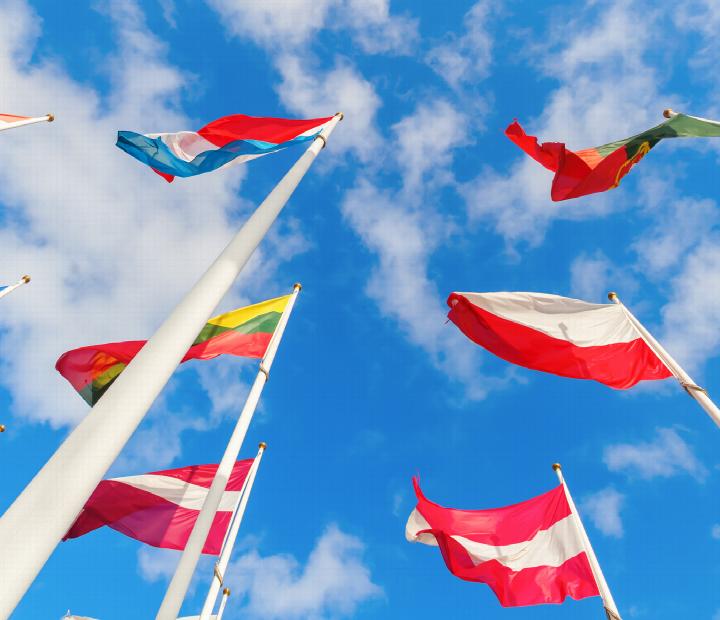 EMBAJADORES EN LA UNIVERSIDAD.