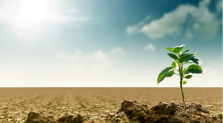 Consumo responsable y energías renovables