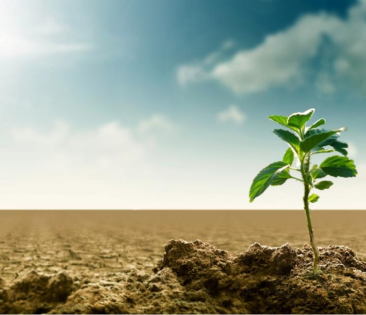 Consumo responsable y energías renovables