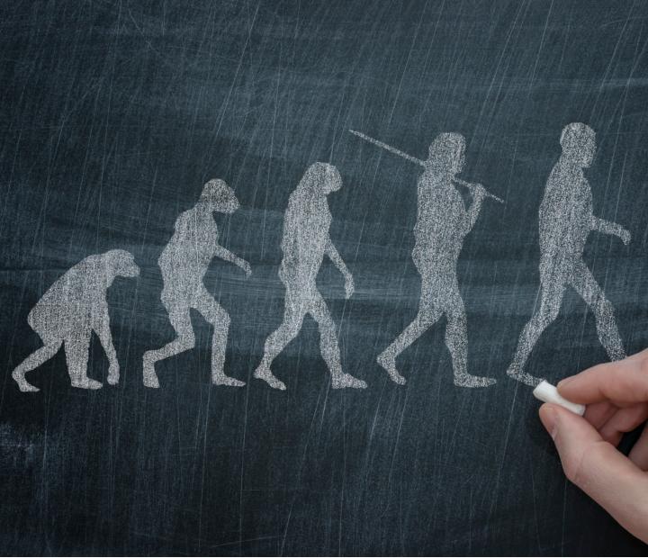 ARCADIA: AULA ABIERTA DE CULTURA. El Primate altruista