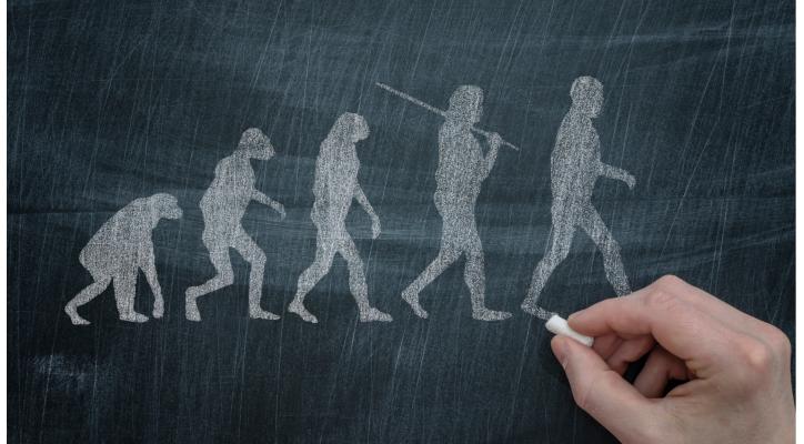 ARCADIA: AULA ABIERTA DE CULTURA. El Primate altruista