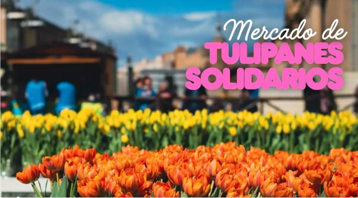 VOLUNTARIADO: Tulipanes solidarios