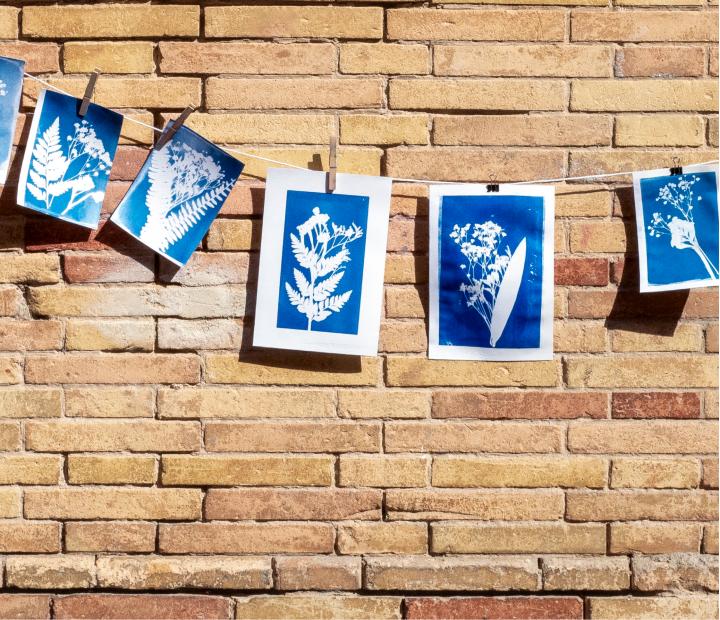 Taller creativo, la magia de la cianotipia