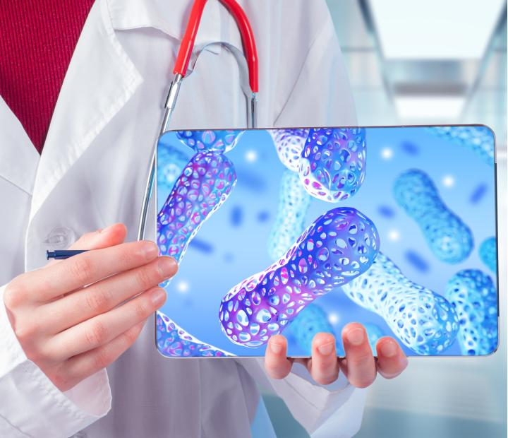 Microbiota intestinal y corazón: el papel clave del hígado en tu salud