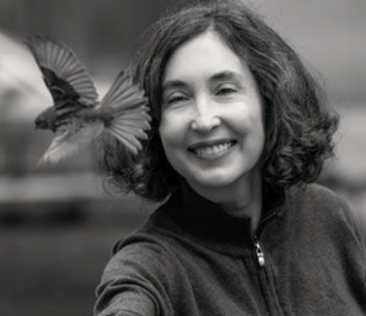 Alas para Volar. Empezar de nuevo cuándo la vida se rompe