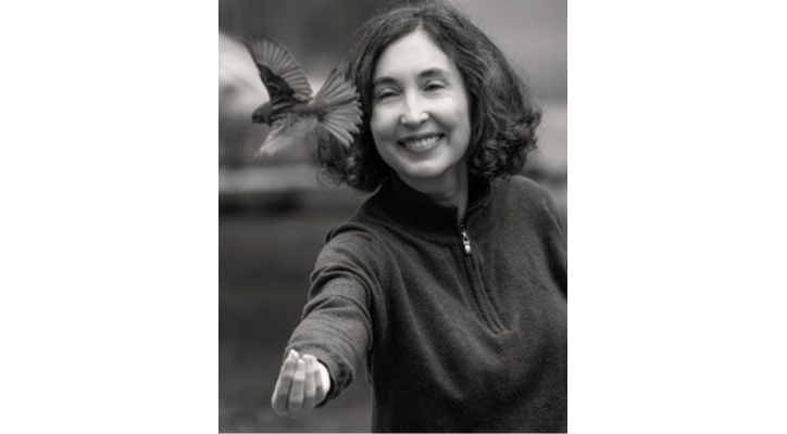 Alas para Volar. Empezar de nuevo cuándo la vida se rompe