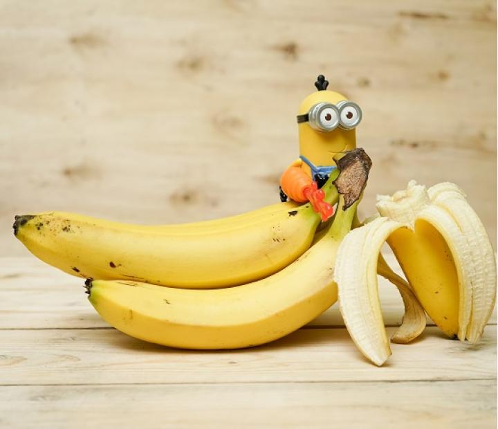 Servicio de comedor. Aventura de primavera