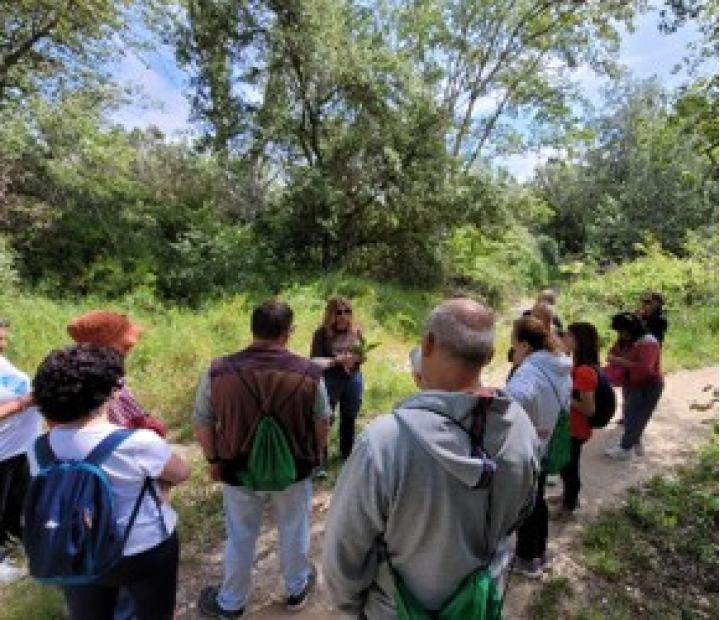 Ruta de las Plantas Olvidadas: identificación y usos tradicionales en el Monasterio de Cogullada