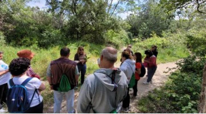 Ruta de las Plantas Olvidadas: identificación y usos tradicionales en el Monasterio de Cogullada