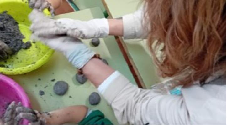 Taller Práctico: Repoblación con el sistema 