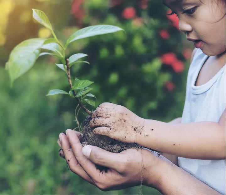 Cogullada Verde: un Ciclo para Descubrir y Cuidar nuestro entorno
