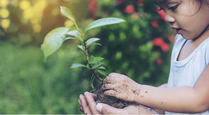 Cogullada Verde: un Ciclo para Descubrir y Cuidar nuestro entorno
