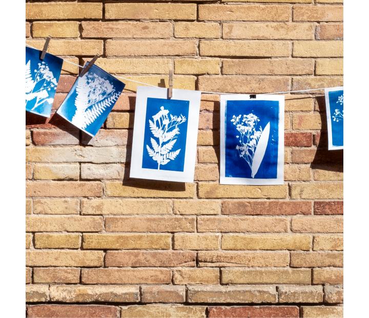 Taller creativo, la magia de la cianotipia Z16. Inscripciones